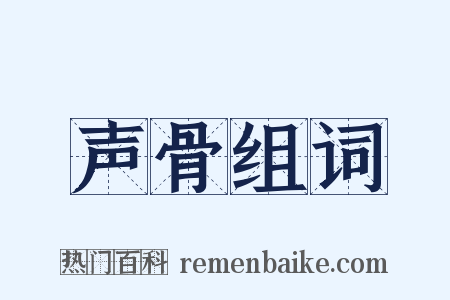 声骨组词是什么意思的图片